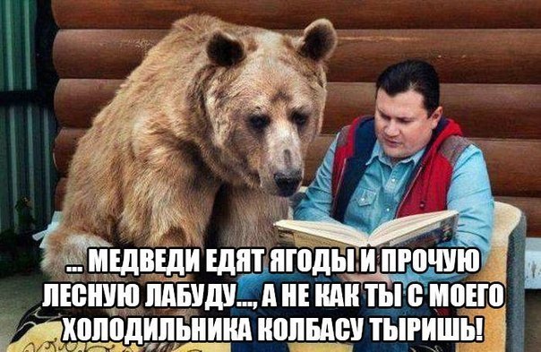 "Мыздобулы" в картинках. Смешных и не очень... 6-08-2016 "Мыздобулы" в картинках. Смешных и не очень... 6-08-2016