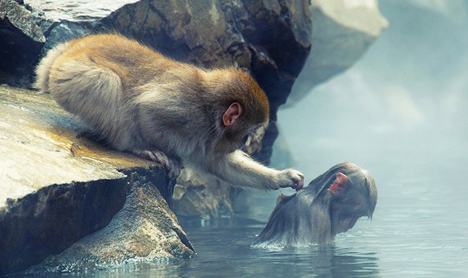 Короткие мудрые притчи, которые напомнят о самом важном Короткие мудрые притчи, которые напомнят о самом важном