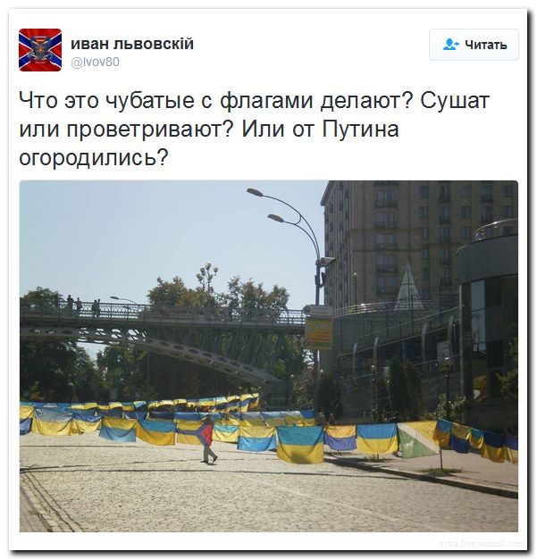 "Мыздобулы" в картинках. Смешных и не очень... 7-08-2016