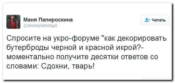 "Мыздобулы" в картинках. Смешных и не очень... 7-08-2016