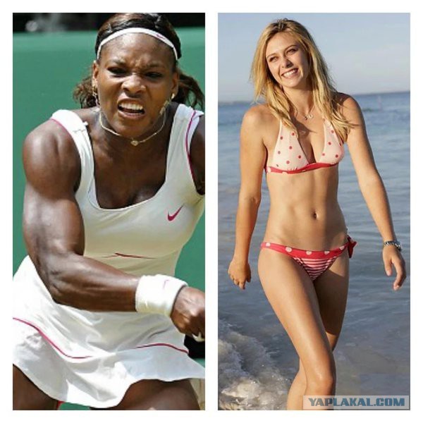 Паралимпийская Сборная России отстранена от участия в ОИ-2016 Паралимпийская Сборная России отстранена от участия в ОИ-2016