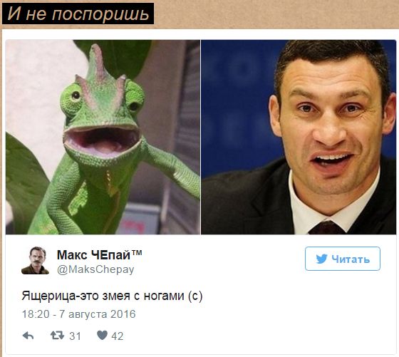 "Мыздобулы" в картинках. Смешных и не очень... 11-08-2016