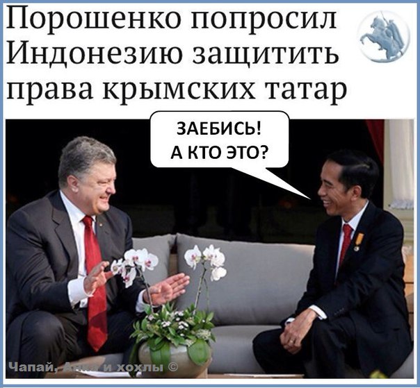 "Мыздобулы" в картинках. Смешных и не очень... 11-08-2016