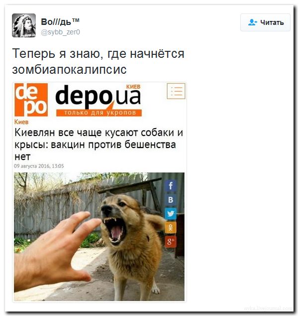 "Мыздобулы" в картинках. Смешных и не очень... 11-08-2016