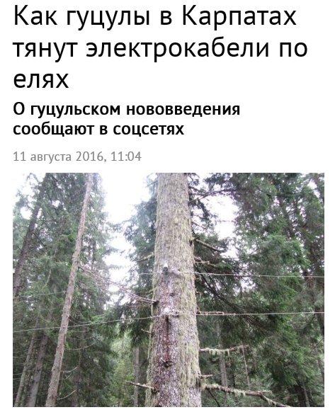 "Мыздобулы" в картинках. Смешных и не очень... 11-08-2016