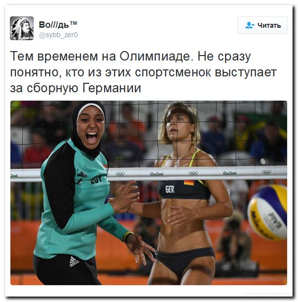 "Мыздобулы" в картинках. Смешных и не очень... 11-08-2016