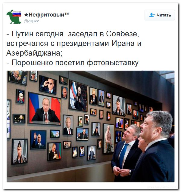 "Мыздобулы" в картинках. Смешных и не очень... 11-08-2016