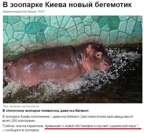 "Мыздобулы" в картинках. Смешных и не очень... 11-08-2016