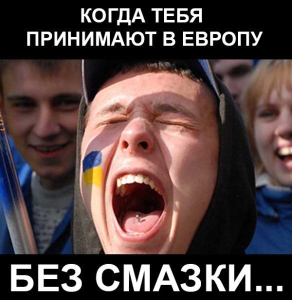 "Мыздобулы" в картинках. Смешных и не очень... 11-08-2016