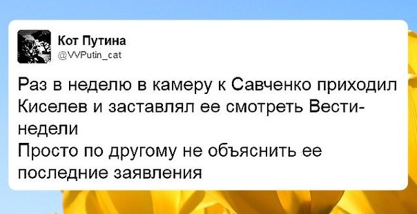 "Мыздобулы" в картинках. Смешных и не очень... 11-08-2016