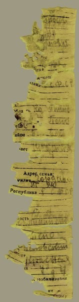 Поисковая Россия