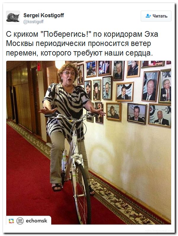 Мыздобулы" в картинках. Смешных и не очень... 13-08-2016