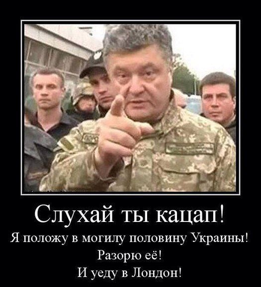 Мыздобулы" в картинках. Смешных и не очень... 13-08-2016