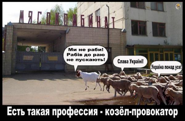 Мыздобулы" в картинках. Смешных и не очень... 13-08-2016