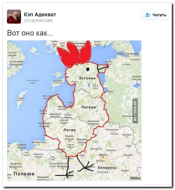 Мыздобулы" в картинках. Смешных и не очень... 13-08-2016