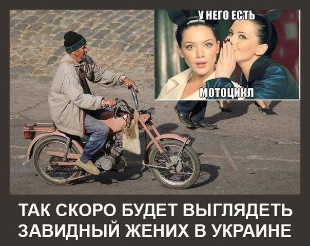 Мыздобулы" в картинках. Смешных и не очень... 13-08-2016