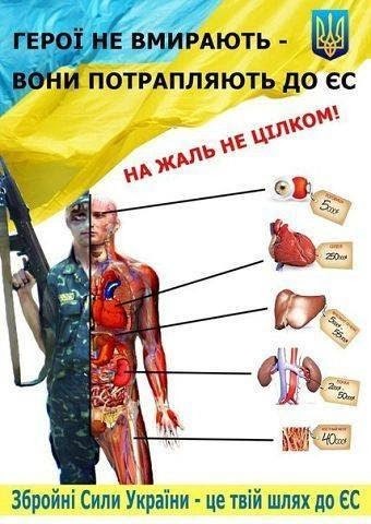 "Мыздобулы" в картинках. Смешных и не очень... 16-08-2016