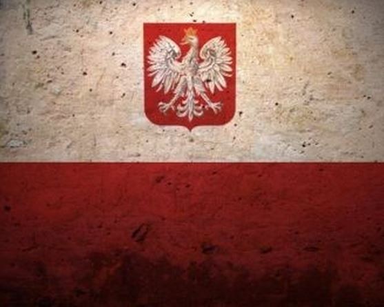 Паника по-соседски: Польша умоляет Запад прислать нам диктатора