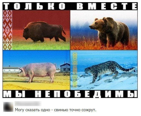 "Мыздобулы" в картинках. Смешных и не очень... 22-08-2016 "Мыздобулы" в картинках. Смешных и не очень... 22-08-2016