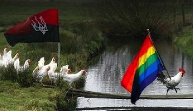 Петух-правосек изнасиловал дедушку