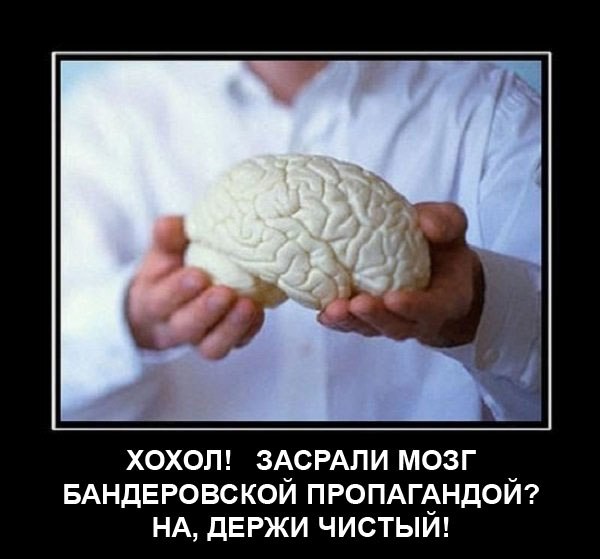 "Мыздобулы" в картинках. Смешных и не очень... 25-08-2016