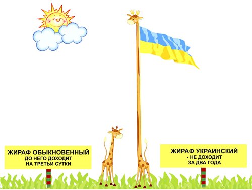 "Мыздобулы" в картинках. Смешных и не очень... 25-08-2016