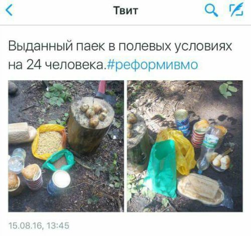 "Мыздобулы" в картинках. Смешных и не очень... 25-08-2016