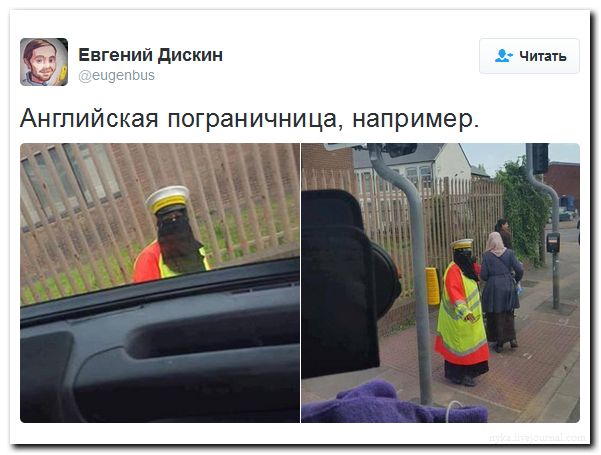 "Мыздобулы" в картинках. Смешных и не очень... 27-08-2016 "Мыздобулы" в картинках. Смешных и не очень... 27-08-2016