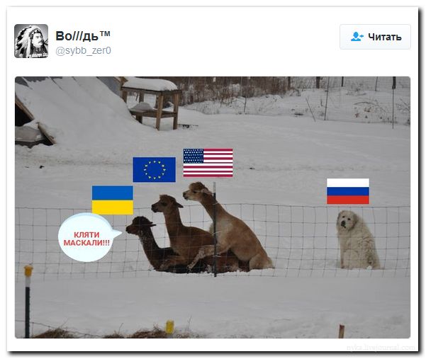 "Мыздобулы" в картинках. Смешных и не очень... 27-08-2016 "Мыздобулы" в картинках. Смешных и не очень... 27-08-2016