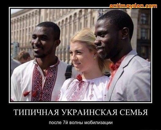 "Мыздобулы" в картинках. Смешных и не очень... 29-08-2016