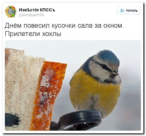 "Мыздобулы" в картинках. Смешных и не очень... 29-08-2016