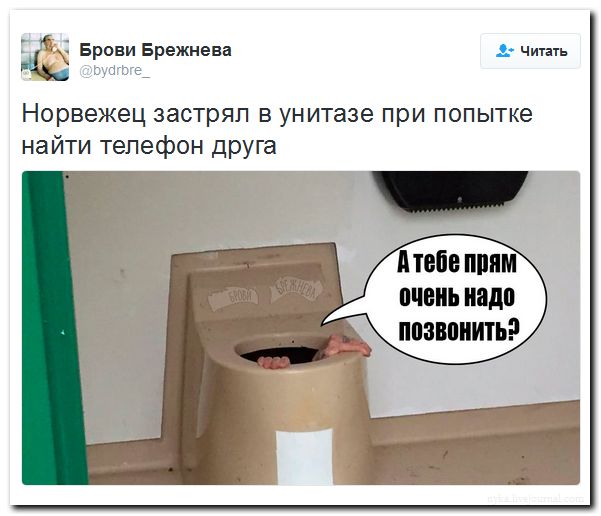 "Мыздобулы" в картинках. Смешных и не очень... 29-08-2016