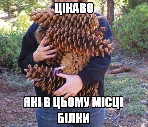 "Мыздобулы" в картинках. Смешных и не очень... 29-08-2016