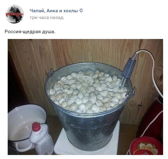 "Мыздобулы" в картинках. Смешных и не очень... 31-08-2016 "Мыздобулы" в картинках. Смешных и не очень... 31-08-2016