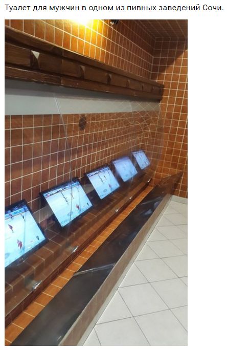 "Мыздобулы" в картинках. Смешных и не очень... 31-08-2016 "Мыздобулы" в картинках. Смешных и не очень... 31-08-2016