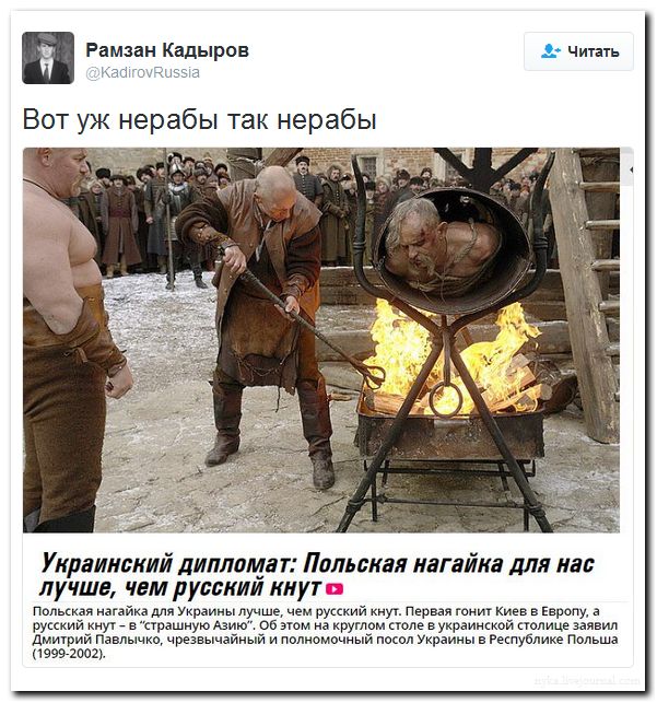 "Мыздобулы" в картинках. Смешных и не очень... 31-08-2016 "Мыздобулы" в картинках. Смешных и не очень... 31-08-2016