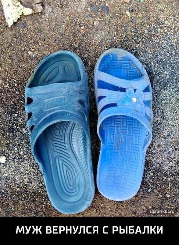 "Мыздобулы" в картинках. Смешных и не очень... 31-08-2016 "Мыздобулы" в картинках. Смешных и не очень... 31-08-2016