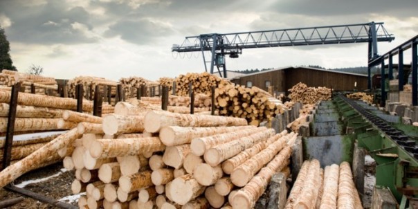 Житель Серпухова нашел в заказанных в интернете стройматериалах записку: "Памогите!"