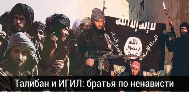 Террористы направляются в СНГ