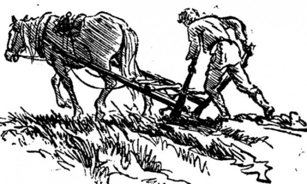 Воскресное настроение Воскресное настроение