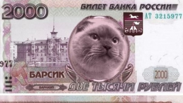 Этому городу нужен новый герой: «Вон из политики, животные»