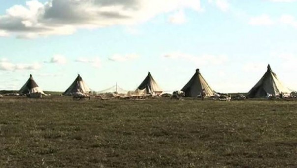 У 20 человек на Ямале подтвердилась сибирская язва