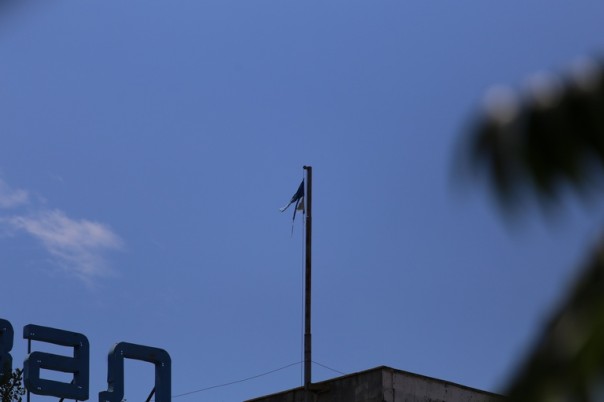 Некогда славный и крупнейшый речморвокзал Украины покрывается паутиной и зарастает травой Некогда славный и крупнейшый речморвокзал Украины покрывается паутиной и зарастает травой