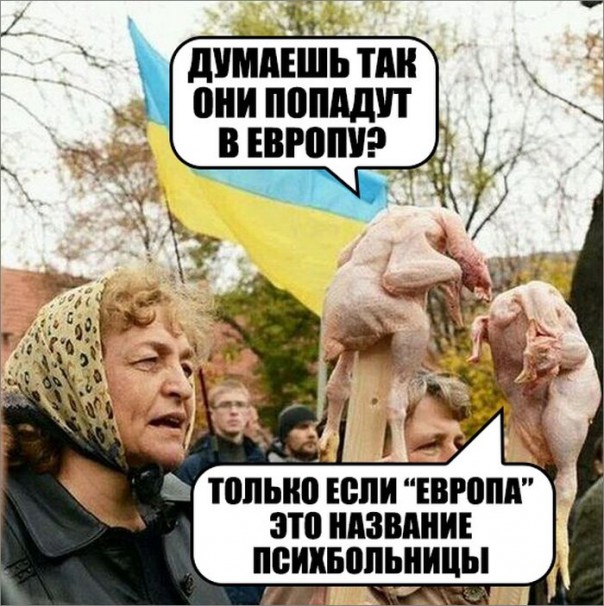 "Мыздобулы" в картинках. Смешных и не очень... 2-08-2016