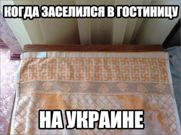 "Мыздобулы" в картинках. Смешных и не очень... 3-08-2016 "Мыздобулы" в картинках. Смешных и не очень... 3-08-2016