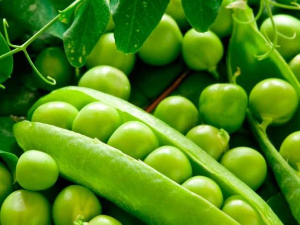 Ну теперь точно укры на "Газпроме" крест поставят