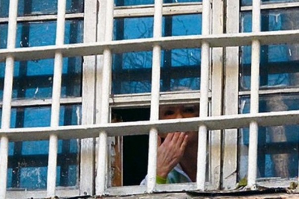 Пчеловод Ющенко ужалил Кыцю Тимошенко