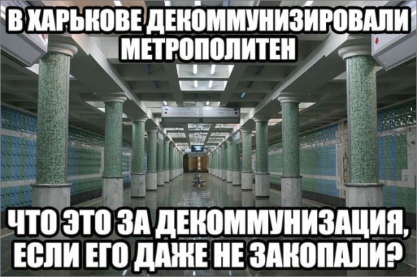 "Мыздобулы" в картинках. Смешных и не очень... 7-08-2016
