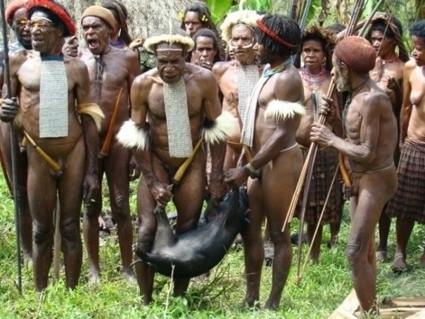 Александр Роджерс: Приключения поросёнка Пети в Индонезии