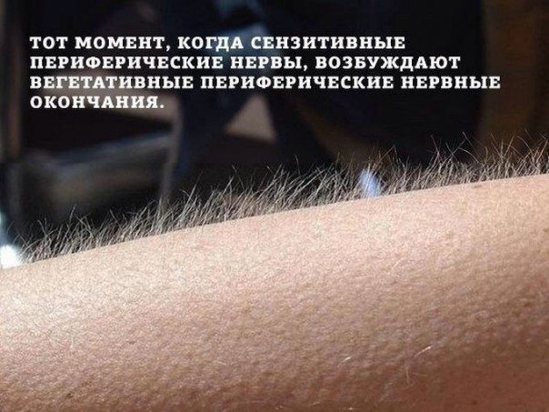 Шутки учёных